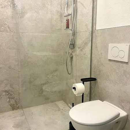 Apartment Neu Schwarzwald Am Schloessle Goldstadt